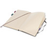 Блокнот MOLESKINE PROFESSIONAL LARGE твердая обложка, черный PROPFNTB3HBK